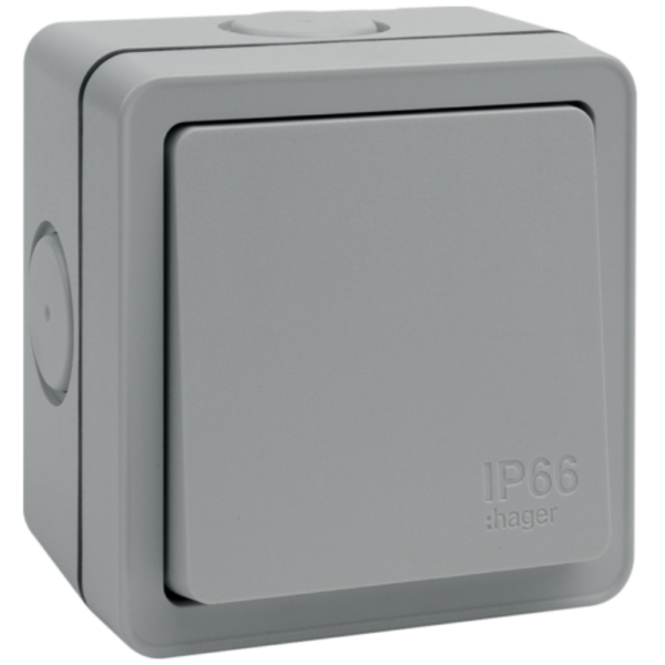 Hager WXPPS12 Switch 1G 2Way IP66 10AX