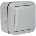 BG WP30 IP66 Switch 1 Gang DP 20A