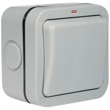 BG WP30 IP66 Switch 1 Gang DP 20A